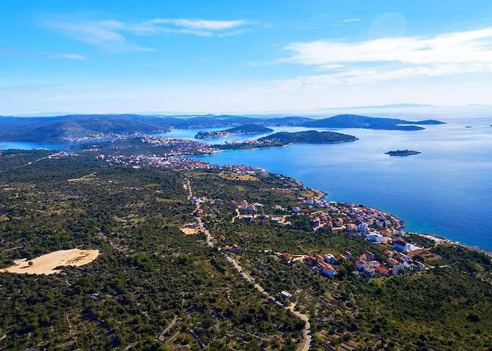 Olive Tree 2 * Zecevo